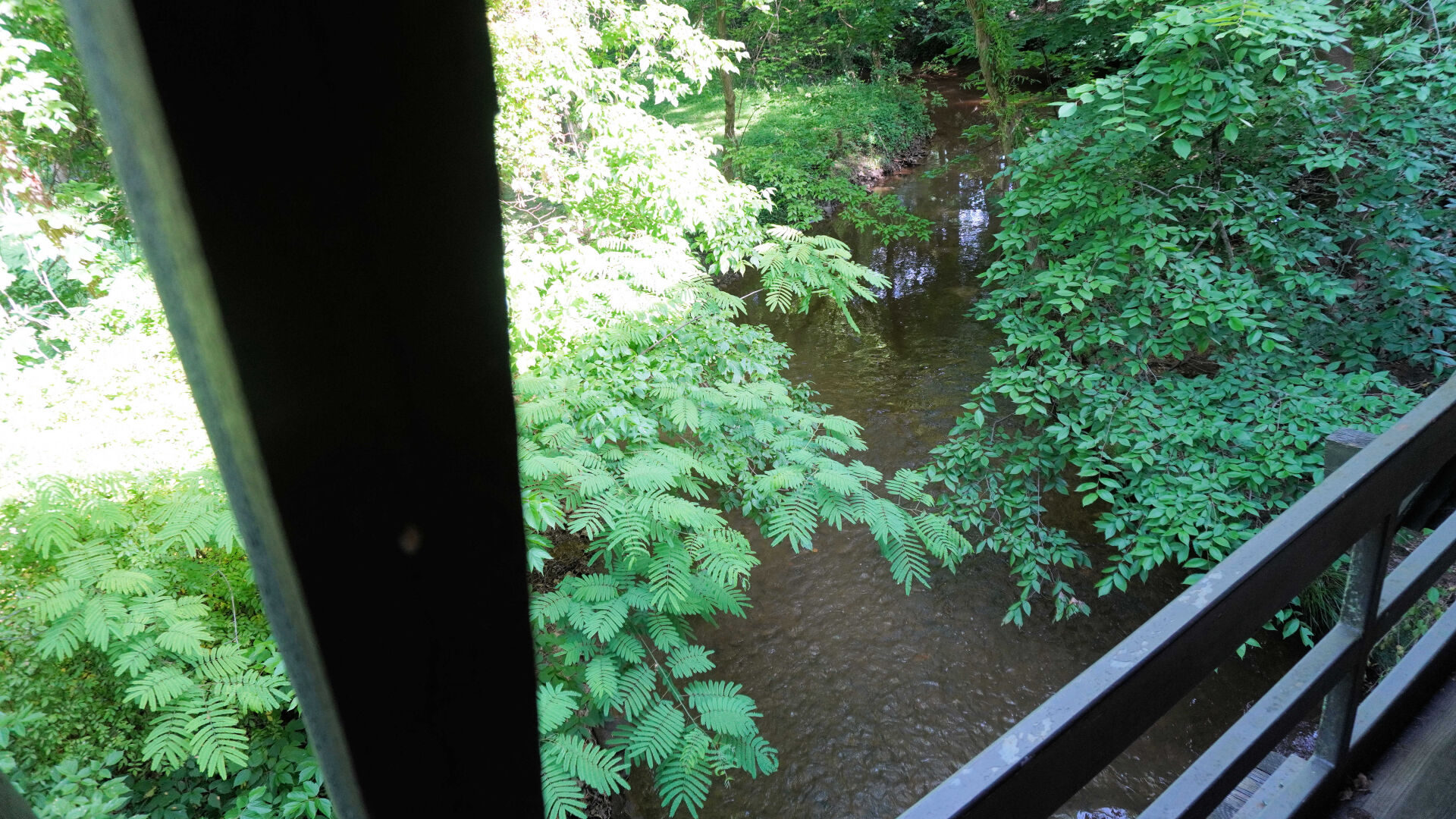 06292022 COVERED BRIDGE CREEK